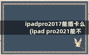 ipadpro2017能插卡么(ipad pro2021能不能插卡)